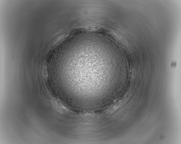 X0000094811058200711301546