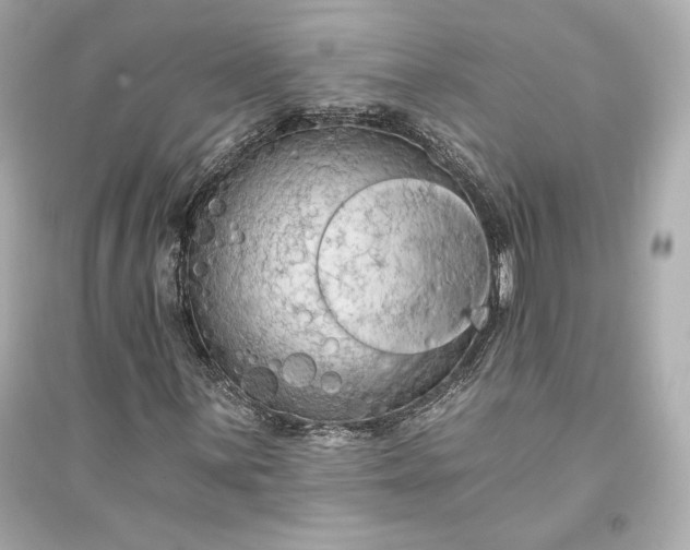 X0000094811059200711301546