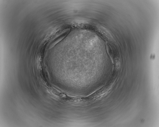 X0000094811060200711301546