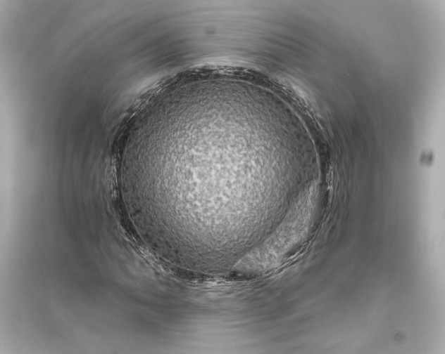 X0000094811062200711301546