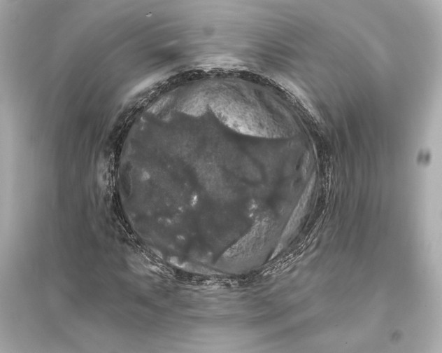 X0000094811063200711301546