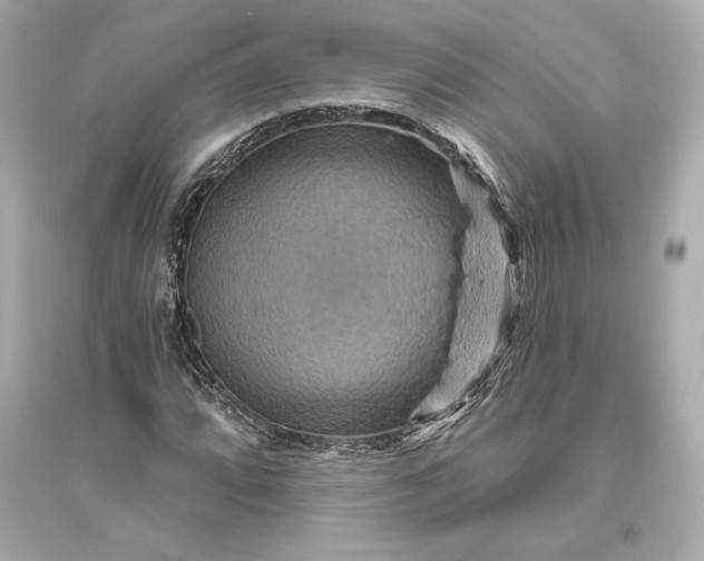 X0000094811064200711301546