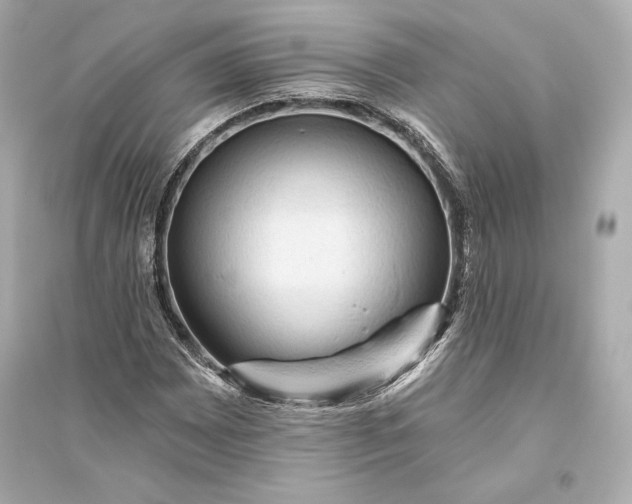 X0000094811065200711301546