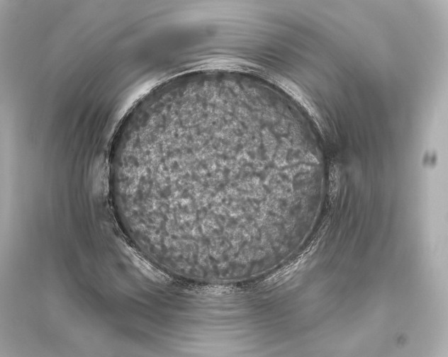 X0000094811067200711301546