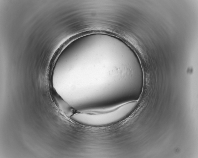 X0000094811068200711301546