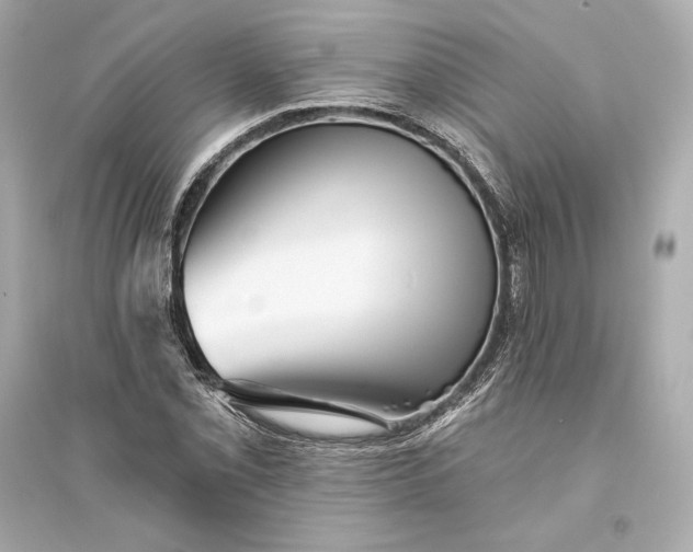 X0000094811069200711301546