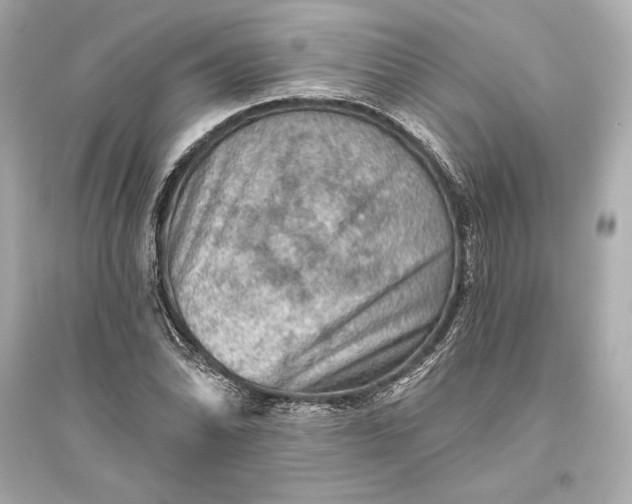 X0000094811070200711301546