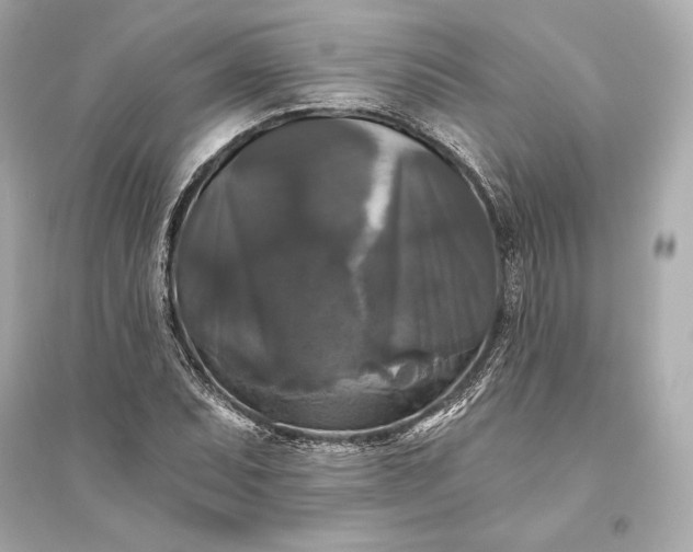 X0000094811071200711301546