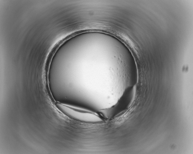 X0000094811072200711301546