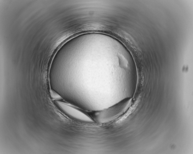 X0000094811073200711301546