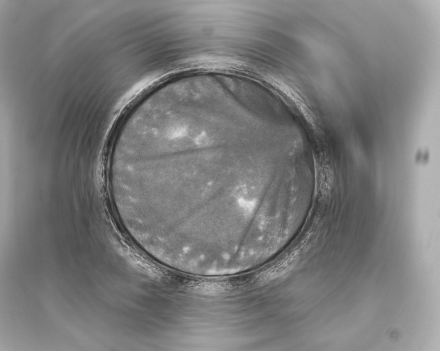 X0000094811074200711301546