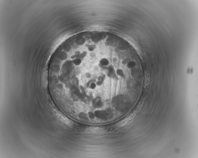 X0000094811075200711301546