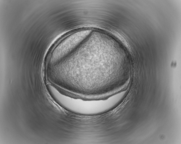 X0000094811076200711301546