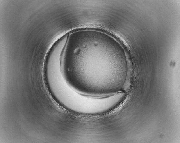 X0000094811077200711301546