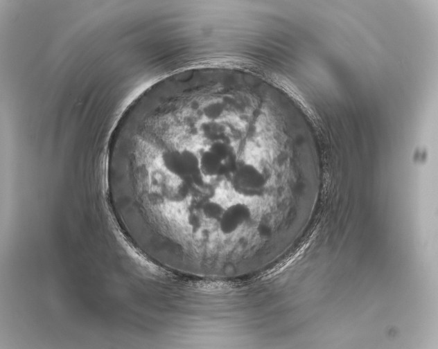 X0000094811079200711301546