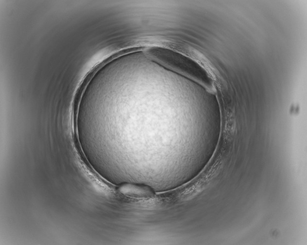 X0000094811080200711301546