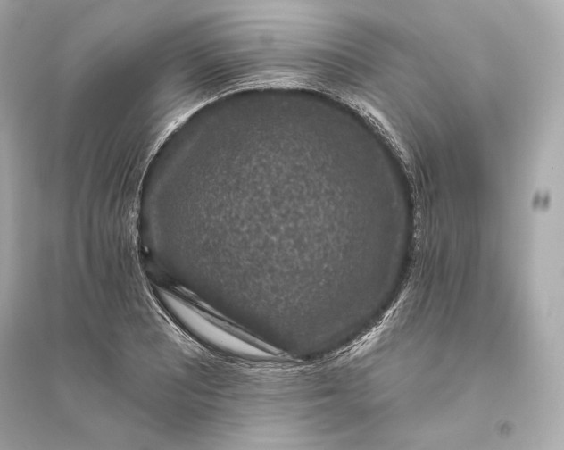 X0000094811081200711301546