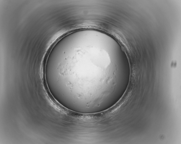 X0000094811082200711301546