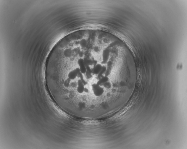 X0000094811083200711301546