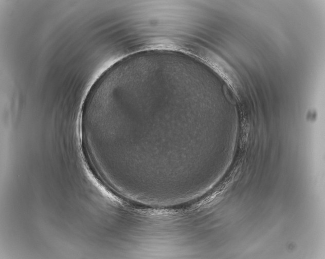 X0000094811084200711301546