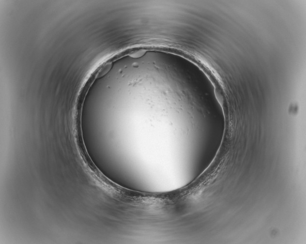 X0000094811085200711301546