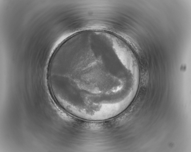 X0000094811086200711301546