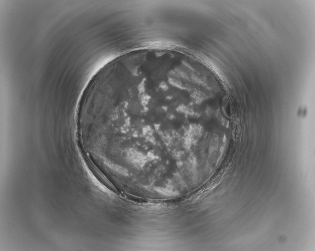 X0000094811087200711301546