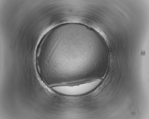 X0000094811088200711301546