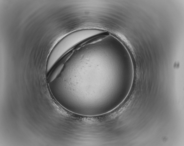 X0000094811089200711301546