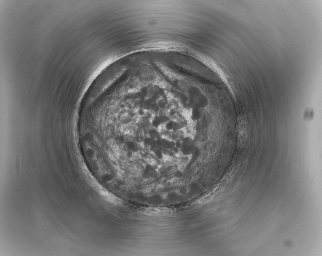 X0000094811091200711301546