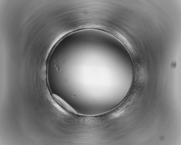 X0000094811092200711301546