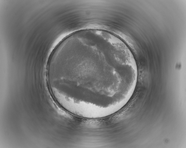 X0000094811094200711301546