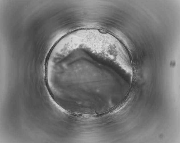 X0000094811095200711301546