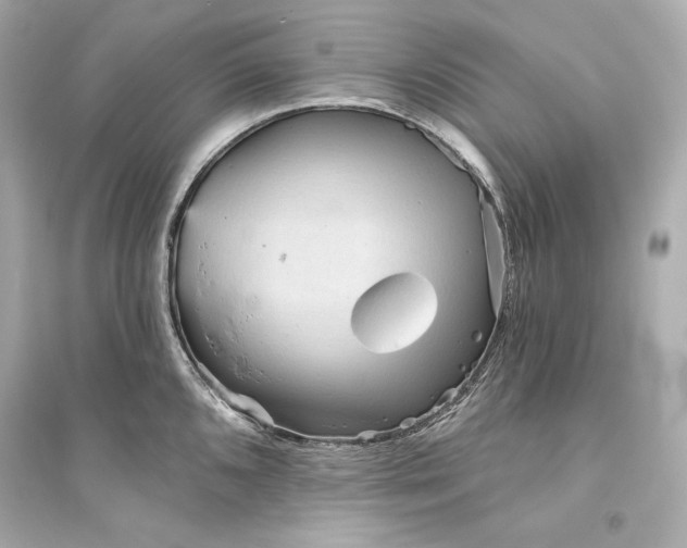 X0000094811096200711301546