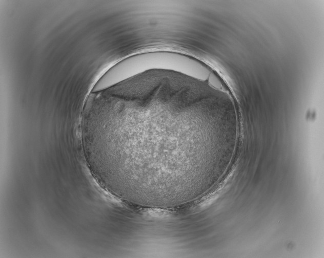 X0000094811097200711301546