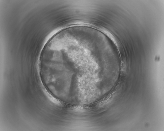 X0000094811098200711301546