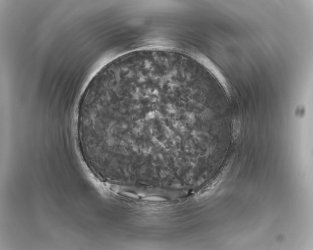 X0000094811099200711301546