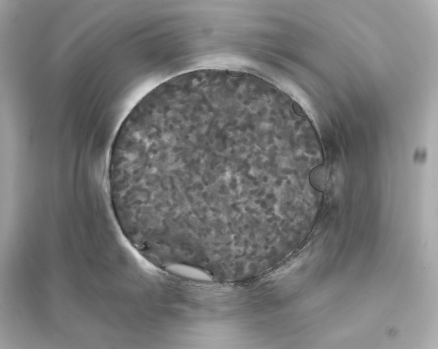 X0000094811103200711301546