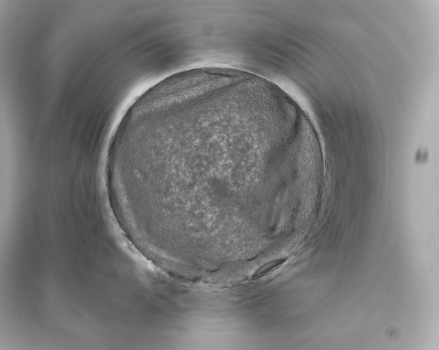 X0000094811104200711301546