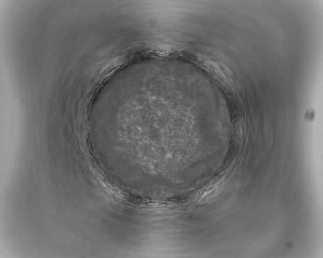 X0000094811105200711301545