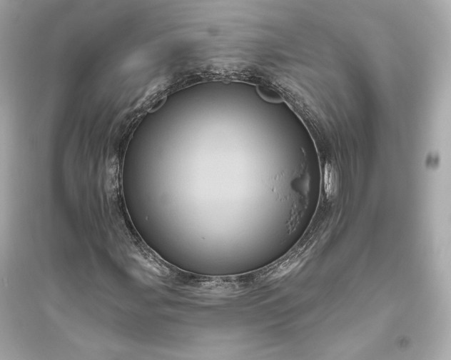 X0000094811107200711301545