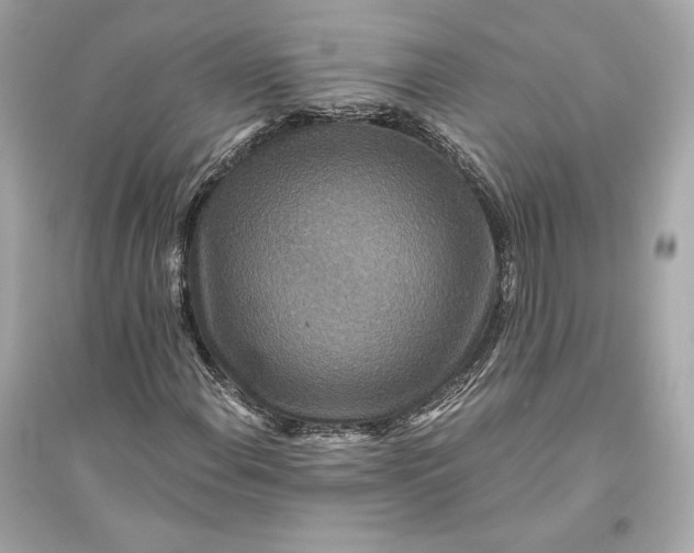 X0000094811108200711301545