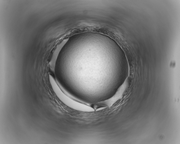 X0000094811109200711301545