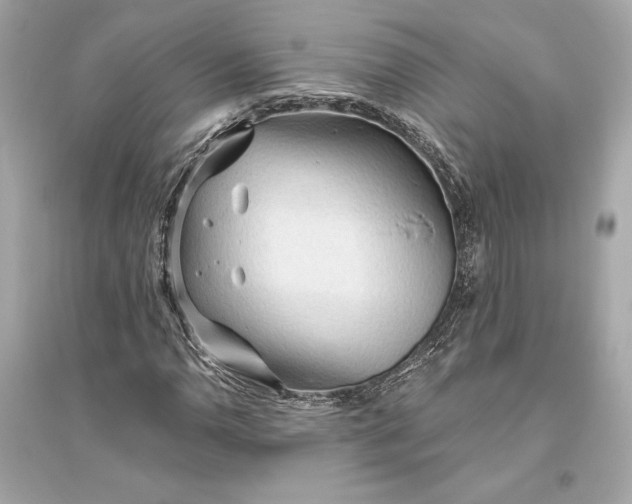 X0000094811110200711301545