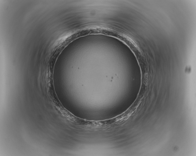 X0000094811111200711301545