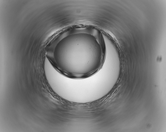 X0000094811112200711301545