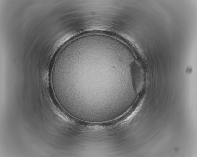 X0000094811113200711301545