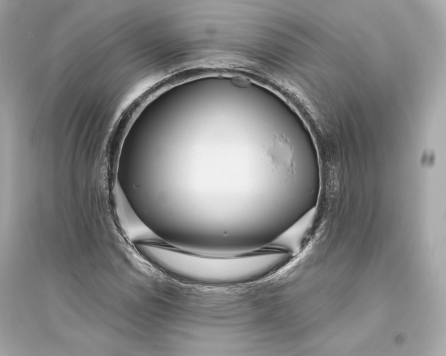 X0000094811114200711301545