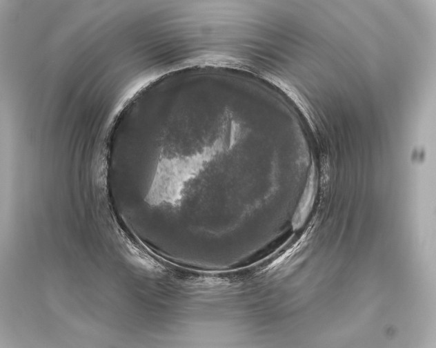 X0000094811115200711301545