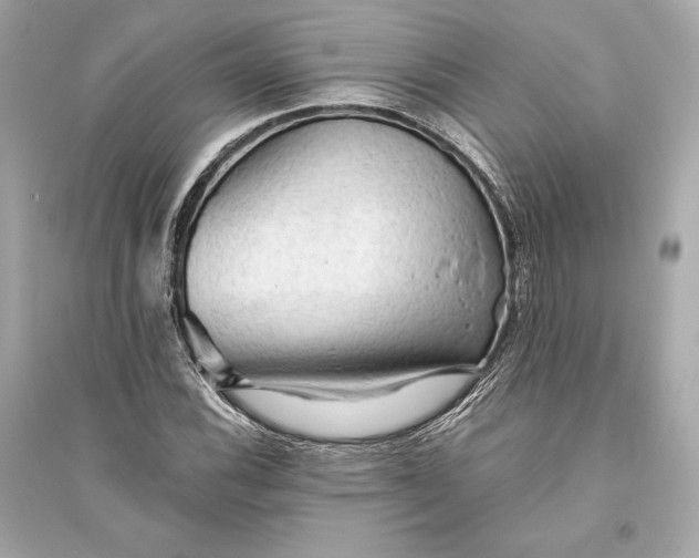 X0000094811116200711301545